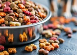 marché des aliments pour animaux de compagnie