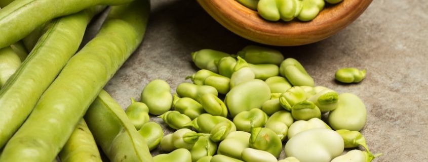 le marché des protéines végétales en France