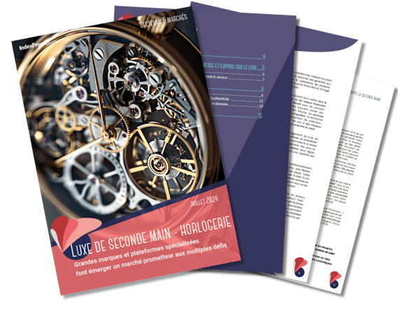 marché de l'horlogerie de luxe de seconde main en france